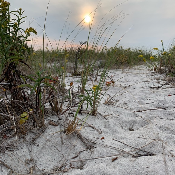 Meet your Posher, Jennifer - Picture 1 of 1